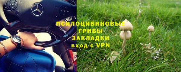шишки Балабаново