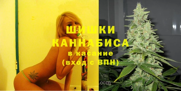 шишки Балабаново