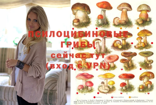 каннабис Баксан