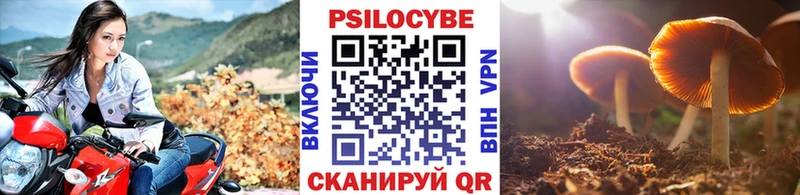 ОМГ ОМГ рабочий сайт  Вуктыл  Псилоцибиновые грибы Cubensis  мориарти официальный сайт  хочу  